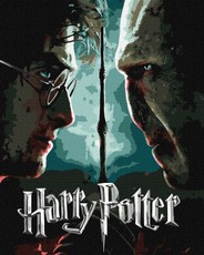 Tapyba pagal skaičius: „HARIS POTERIS“ Haris ir Voldemortas su metaliko dažais Warner Bros 40x50 dėžutėje