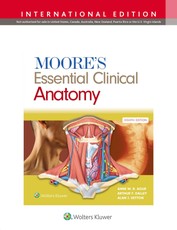 Moore's Essential Clinical Anatomy