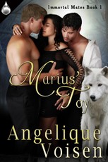 Marius' Toy