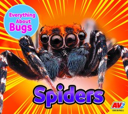 Spiders
