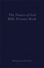 KJV Names of God Bible Promise Book, Blue Imitation Leather