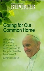 Caring for our Common Home