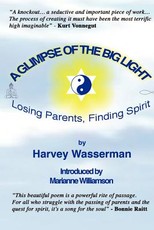 A Glimpse of the Big Light