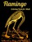 Flamingo Coloring Book for Adults
