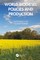World Biodiesel Policies and Production