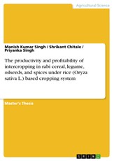 The productivity and profitability of intercropping in rabi cereal, legume, oilseeds, and spices under rice (Oryza sativa L.) based cropping system