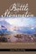 The Battle of Stonington