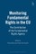 Monitoring Fundamental Rights in the Eu