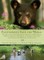 Ecotourists Save the World