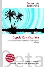 Dypsis Canaliculata