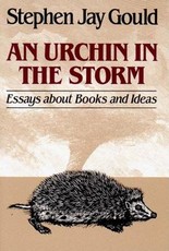 Urchin in the Storm