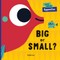Big or Small?