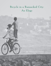 Bicycle in a Ransacked City