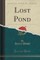 Lost Pond (Classic Reprint)