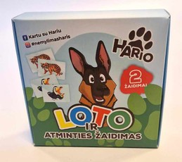 Loto ir atminties žaidimas