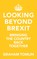 Looking Beyond Brexit