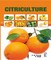 Citriculture