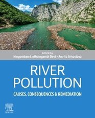 River Pollution