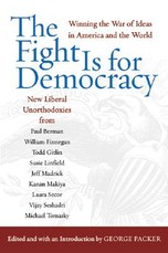 The Fight Is for Democracy