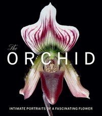 The Orchid