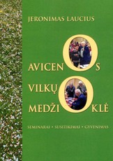 Avicenos vilkų medžioklė. Seminarai. Susitikimai. Gyvenimas