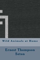 Wild Animals at Home