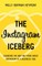 The Instagram Iceberg