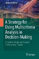 A Strategy for Using Multicriteria Analysis in Decision-Making