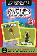 Everything You Should Know About