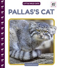 Pallas's Cat