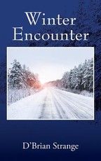 Winter Encounter