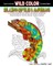 Relaxing Reptiles & Amphibians