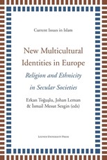 New Multicultural Identities in Europe