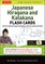 Japanese Hiragana and Katakana Flash Cards Kit