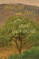 Thinking with Trees