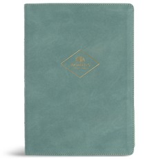 CSB Women's Study Bible, Earthen Teal Suedesoft Leathertouch