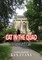 Cat in the Quad