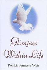 Glimpses Within Life
