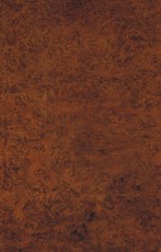 The Theory of Organics Beings