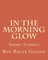 In The Morning Glow