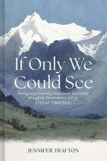 If Only We Could See