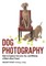 Dog Photography
