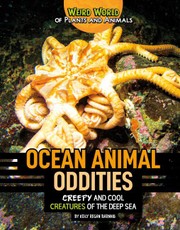 Ocean Animal Oddities!