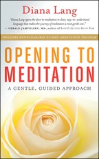 Opening to Meditation