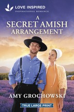 A Secret Amish Arrangement