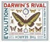 Darwin's Rival: Alfred Russel Wallace and the Search for Evolution