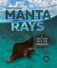 Manta Rays