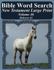 Bible Word Search New Testament Large Print Volume 46