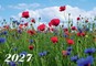 Sieninis kalendorius „Pieva“ 2027, 1 dalies