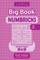 Sudoku Big Book Numbricks - 500 Easy Puzzles 9x9 (Volume 2)